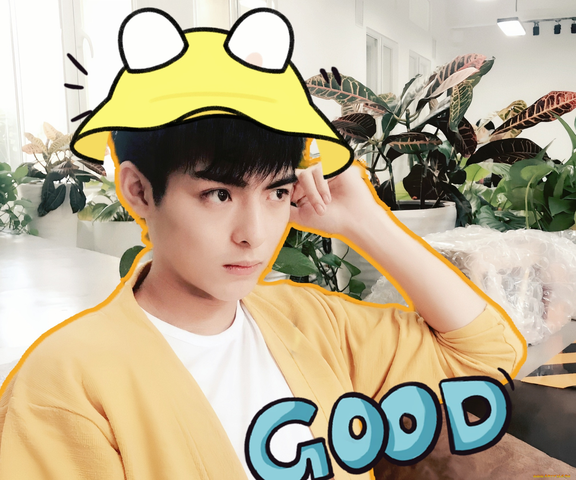 , wang hao xuan, , , 